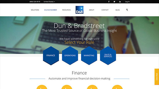 Dun & Bradstreet Homepage Revision